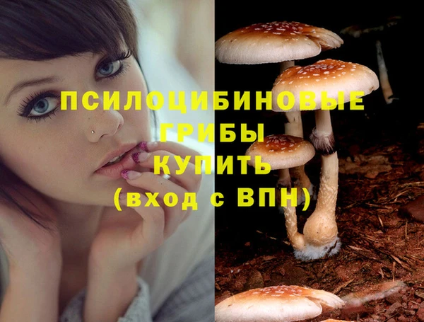 mdpv Сафоново